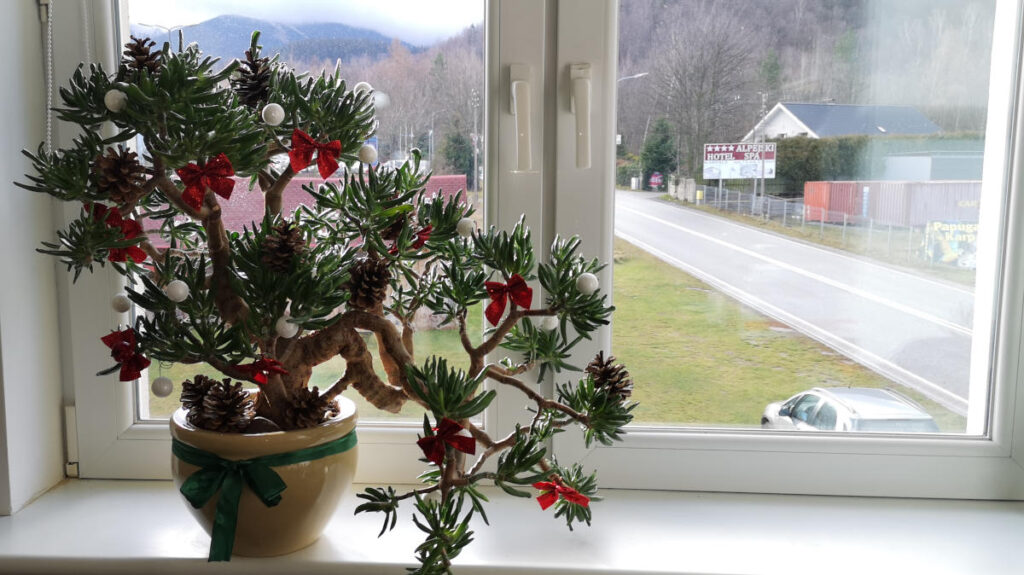 Widok z okna lokalu w Karpaczu na sprzedaż